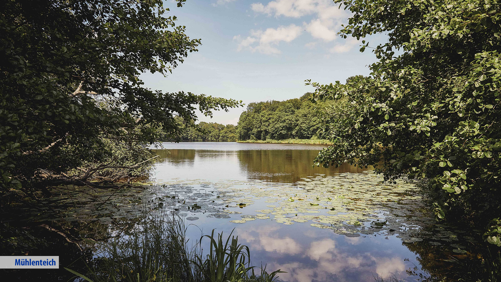 Upstalsboom Varel-Dangast