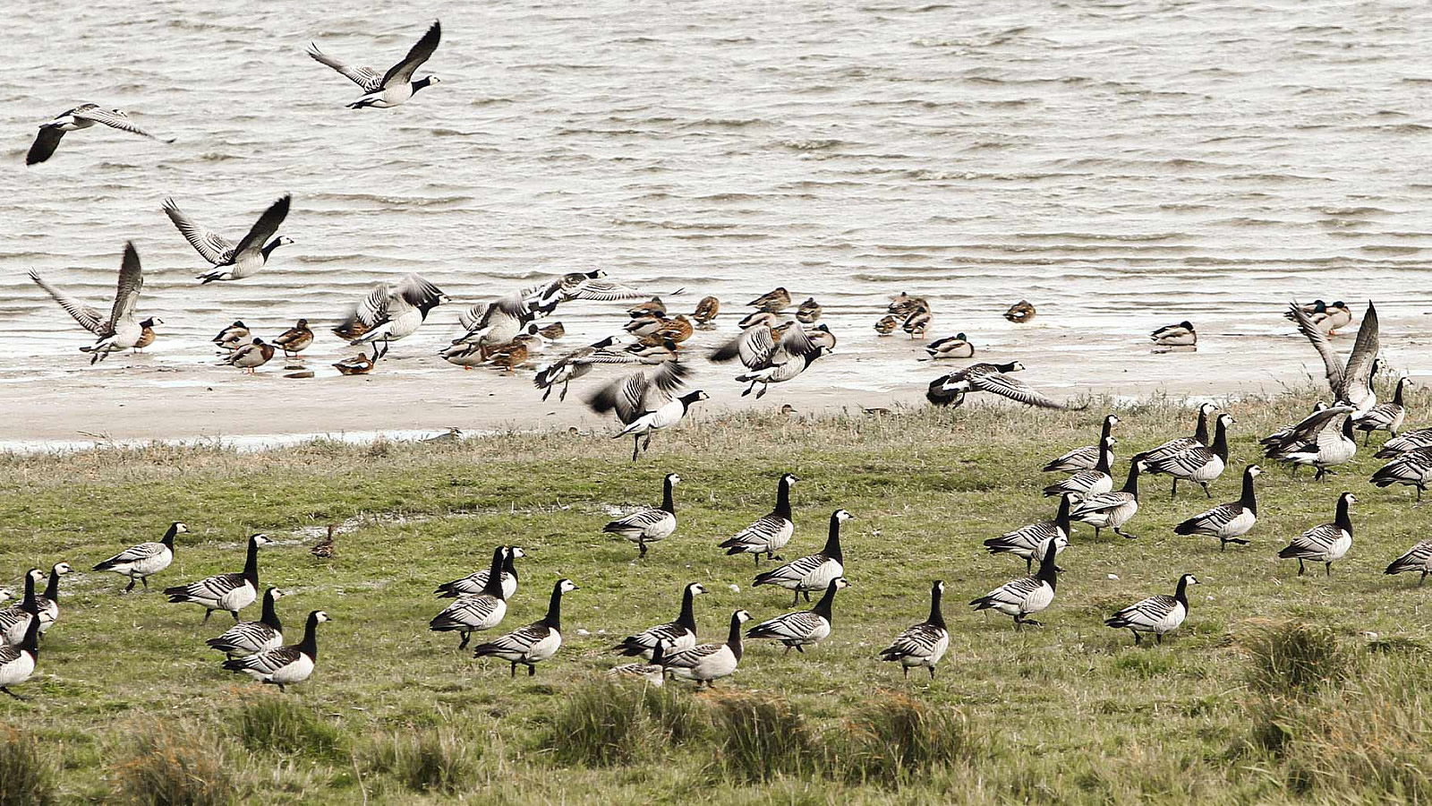 Strandhotel Dagebüll