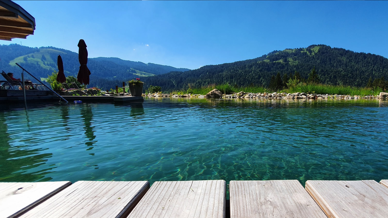 Torgheles Wald + Fluh