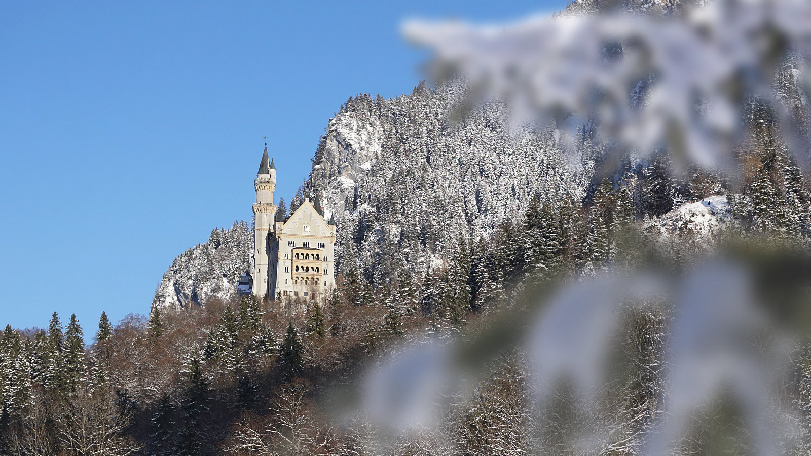 Biohotel Eggensberger