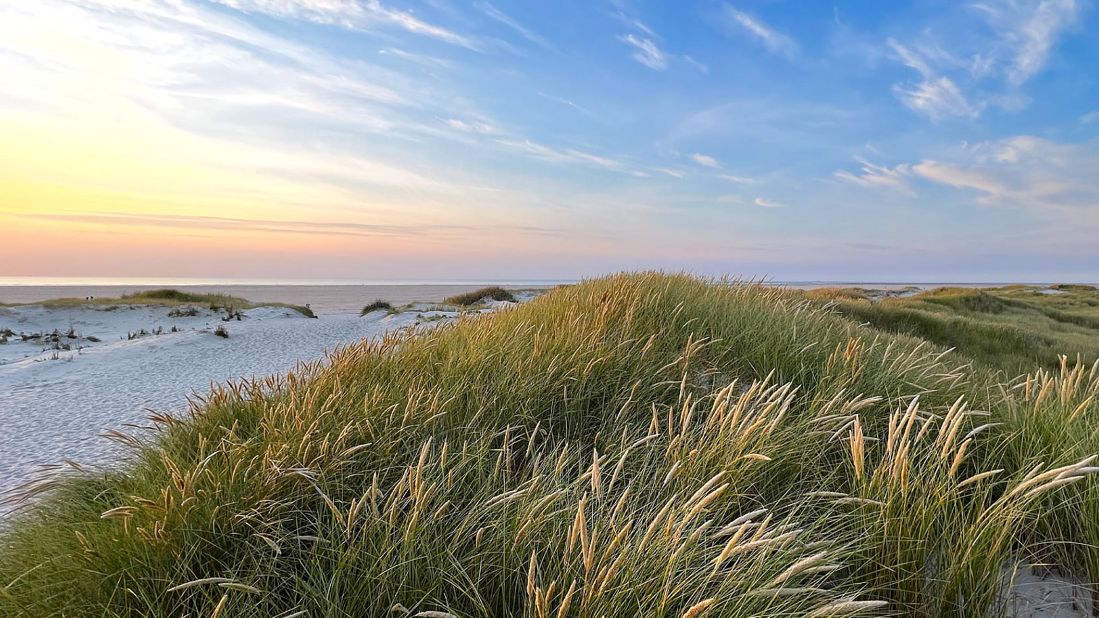 ambassador hotel & spa