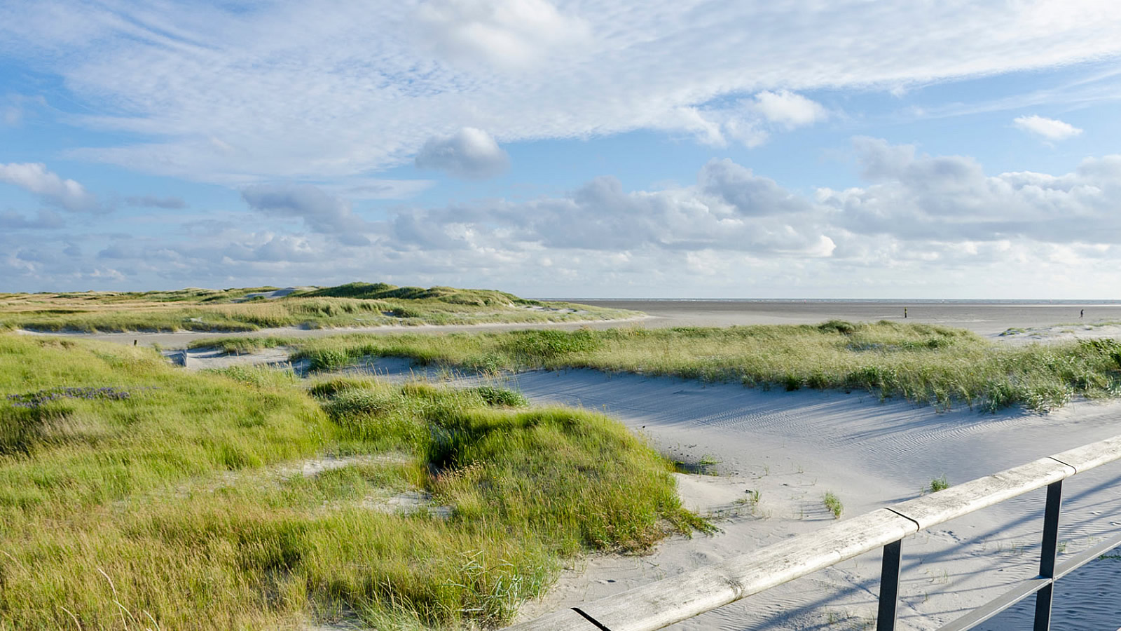 ambassador hotel & spa