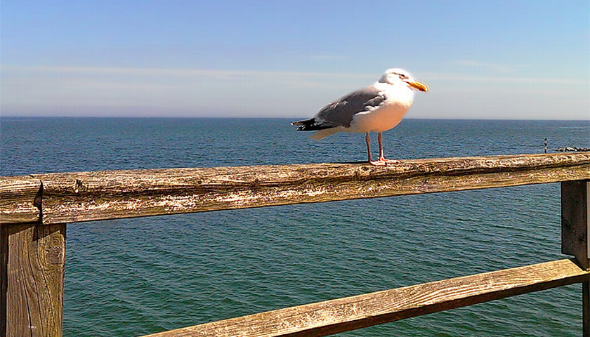 Santé Royale Resort