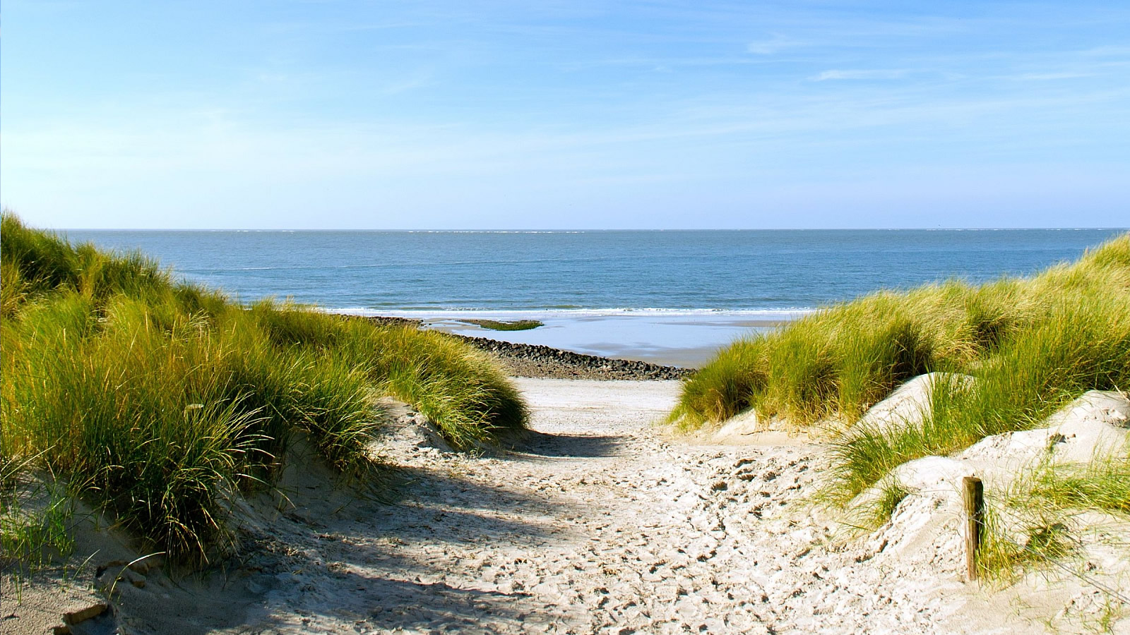 Mona Lisa Medical Wellness & Spa