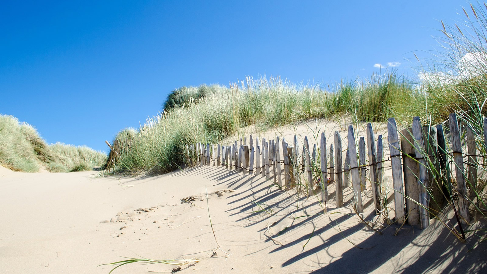 Mona Lisa Medical Wellness & Spa