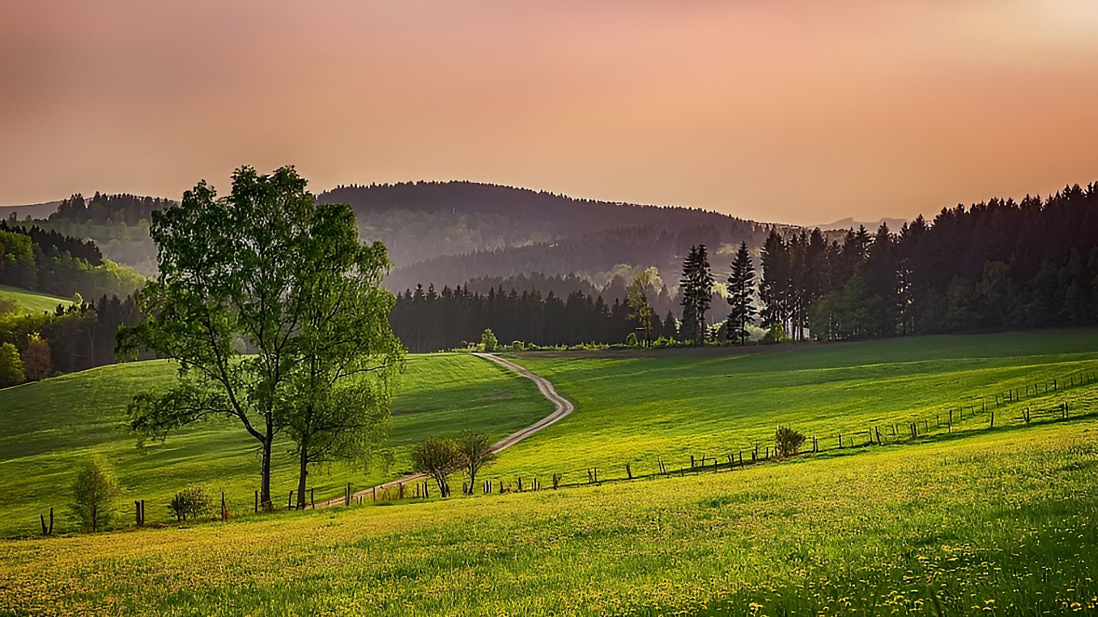 Hotel Winterberg Resort