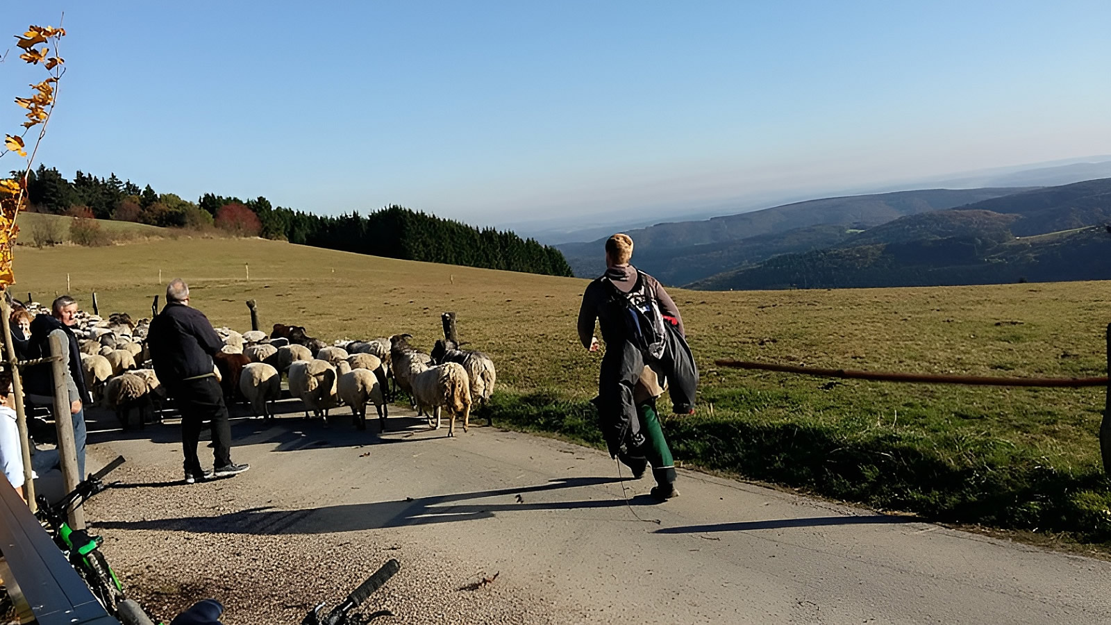 Hotel Winterberg Resort