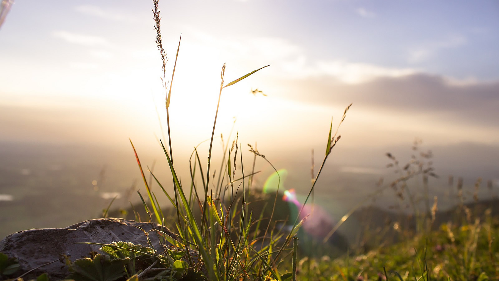 DIE GAMS Hotel Restaurant