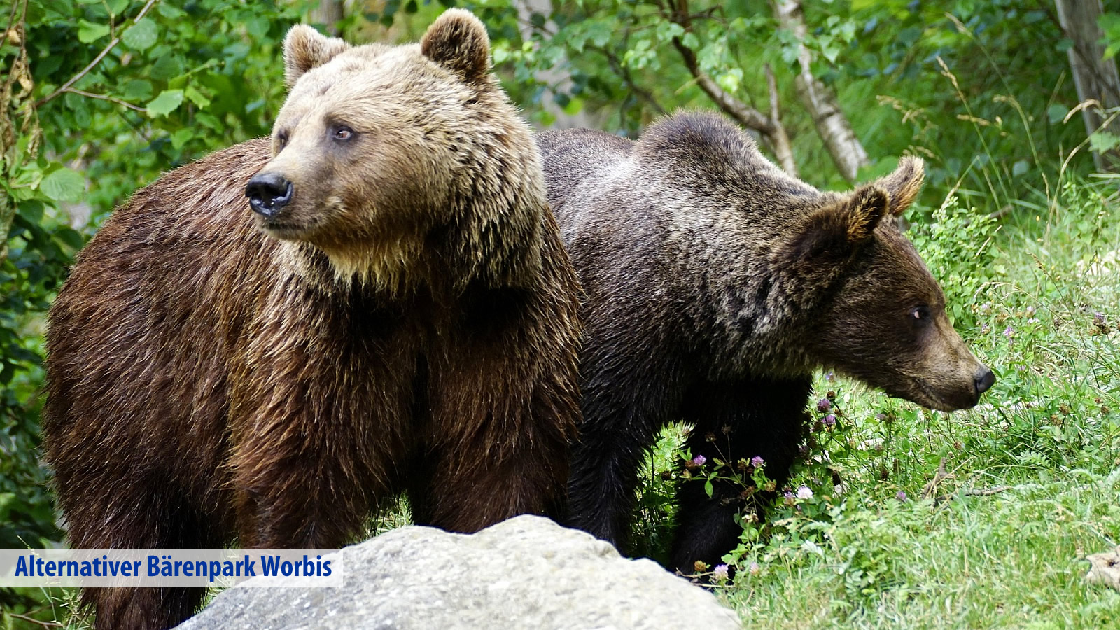 Victor´s Residenz-Hotel Teistungenburg