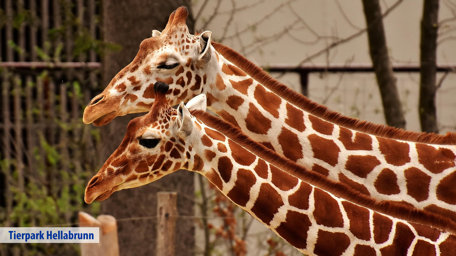 Victor´s Residenz-Hotel München