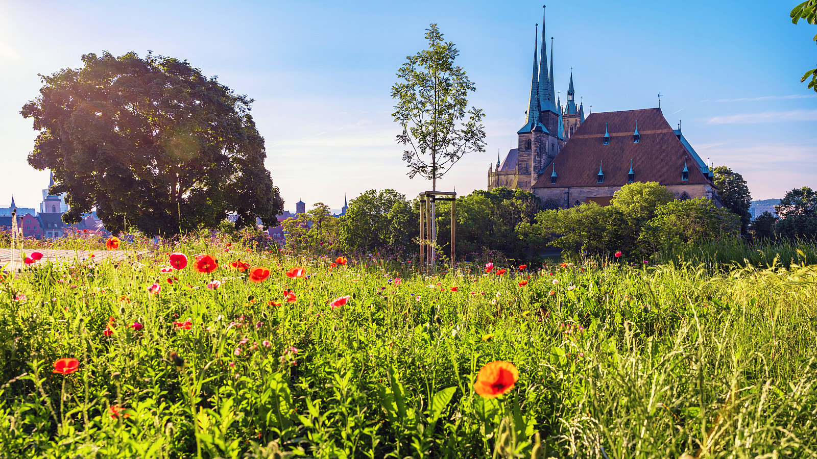 Victor´s Residenz-Hotel Erfurt