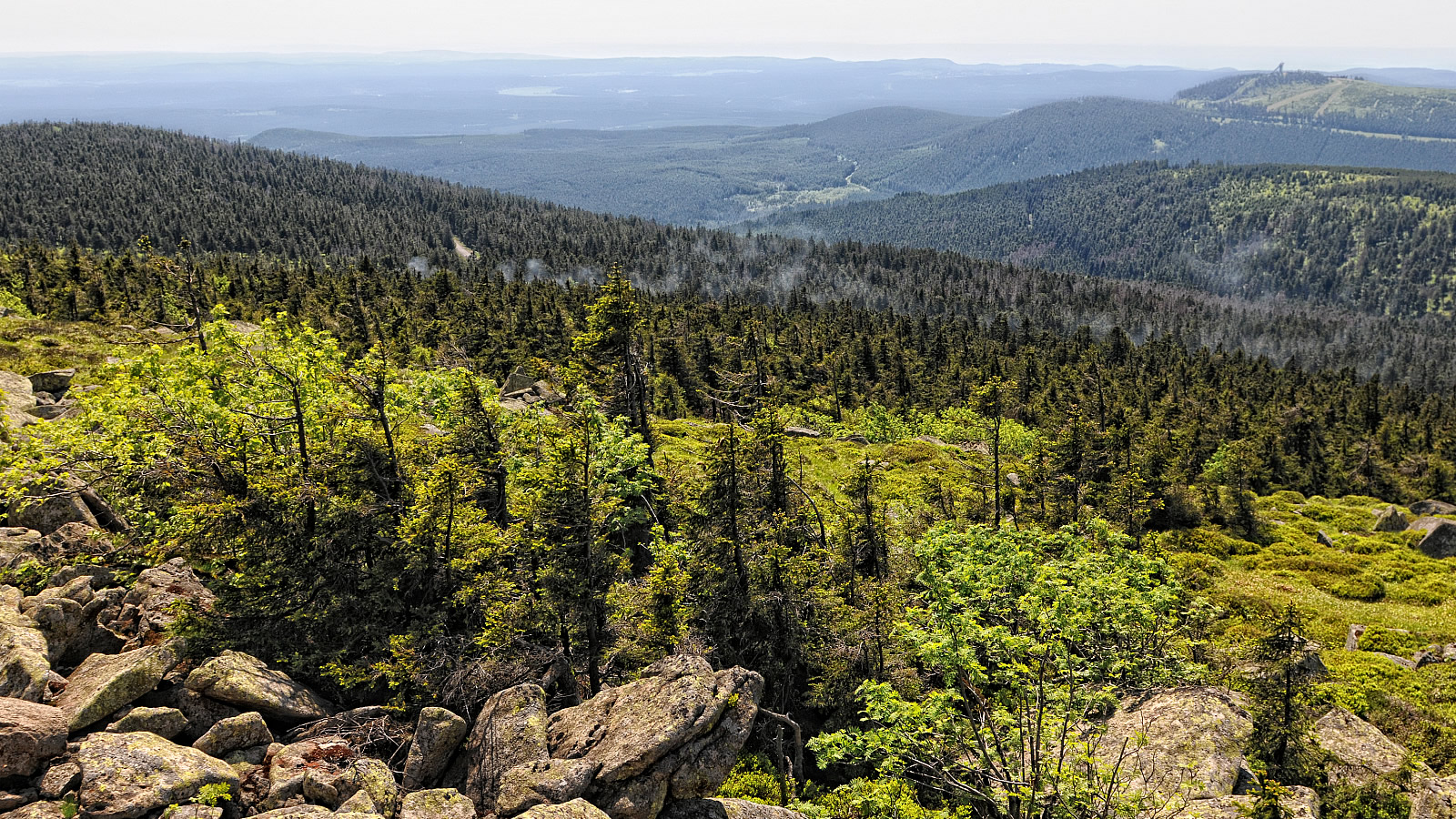 re.vita naturresort & spa