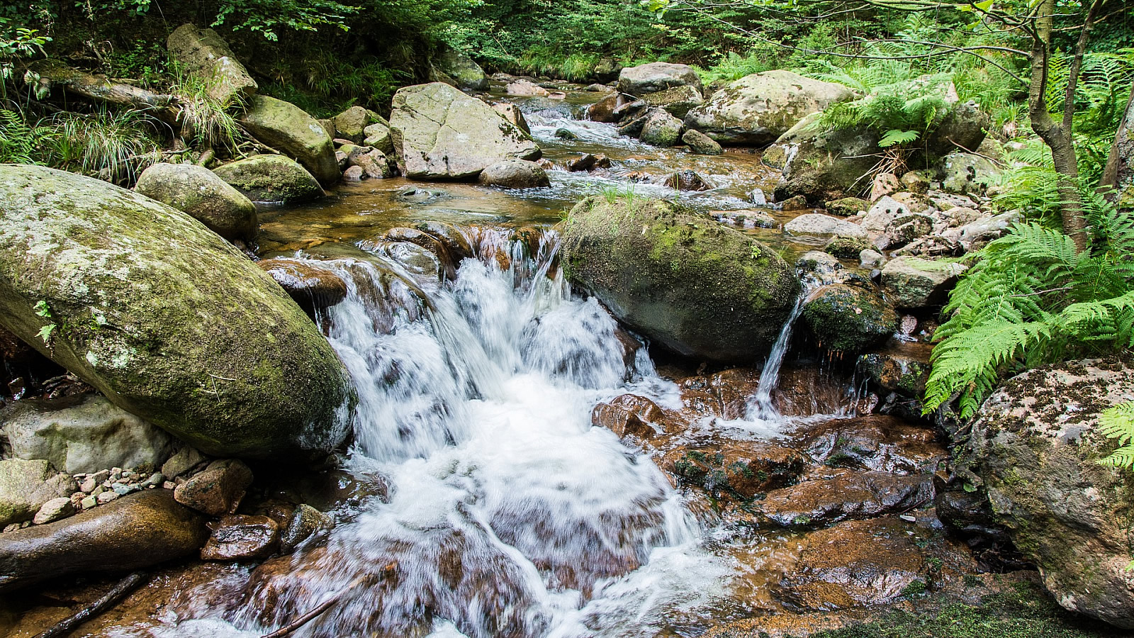 re.vita naturresort & spa