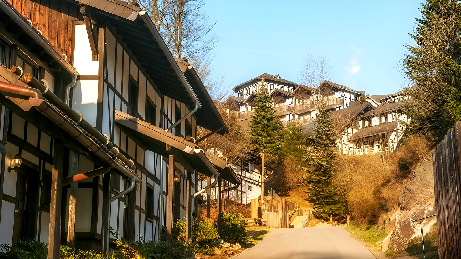 Dorint Resort Winterberg