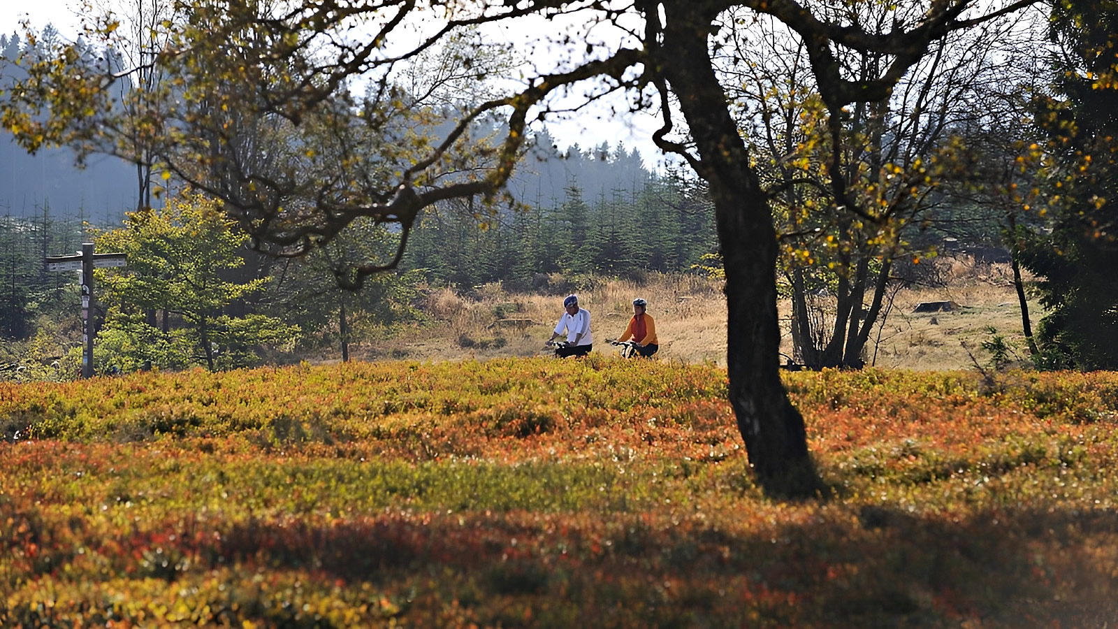 Dorint Resort Winterberg