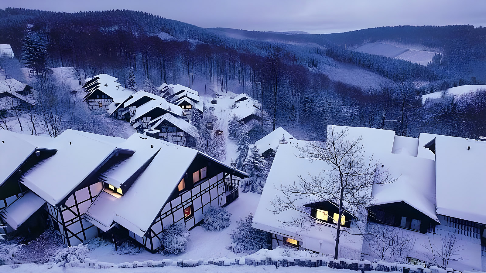 Dorint Resort Winterberg