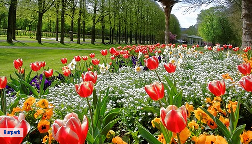 Best Western Premier Parkhotel