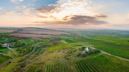 Präventionsreise nach Alzey